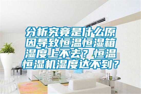 分析究竟是什么原因导致恒温恒湿箱湿度上不去？恒温恒湿机湿度达不到？