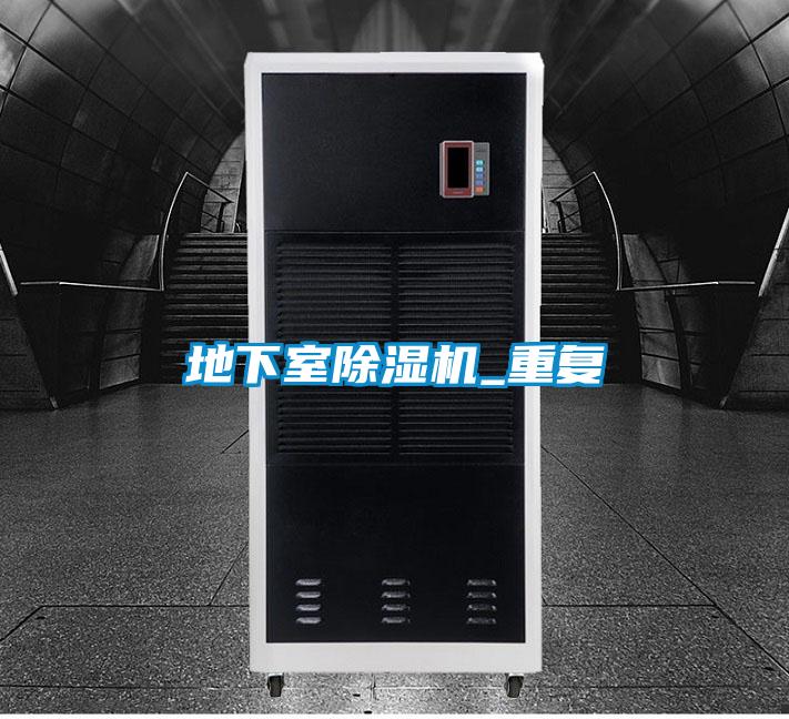 地下室精品一区二区三区水蜜桃_重复