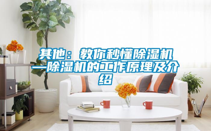 其他：教你秒懂精品一区二区三区水蜜桃—精品一区二区三区水蜜桃的工作原理及介绍