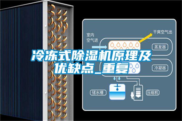 冷冻式精品一区二区三区水蜜桃原理及优缺点_重复