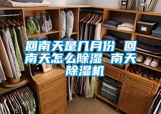 回南天是几月份 回南天怎么除湿 南天 精品一区二区三区水蜜桃