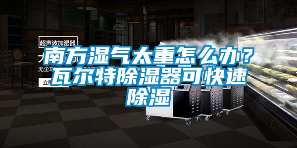 南方湿气太重怎么办？瓦尔特除湿器可快速除湿