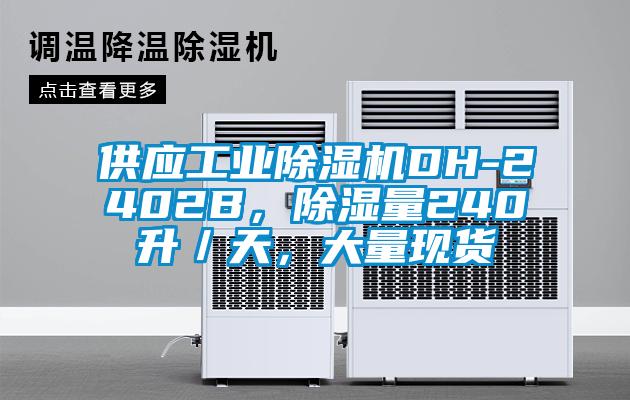 供应工业精品一区二区三区水蜜桃DH-2402B，除湿量240升／天，大量现货
