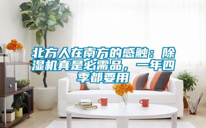 北方人在南方的感触：精品一区二区三区水蜜桃真是必需品，一年四季都要用