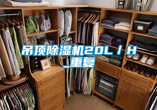 吊顶精品一区二区三区水蜜桃20L／H_重复