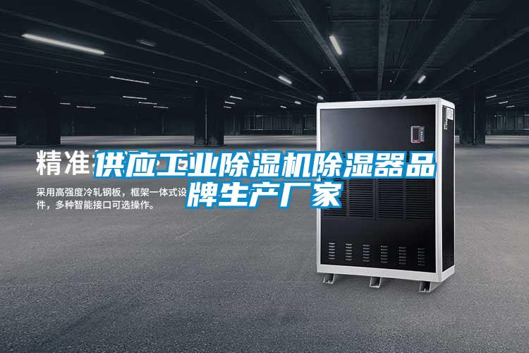 供应工业精品一区二区三区水蜜桃除湿器品牌生产厂家