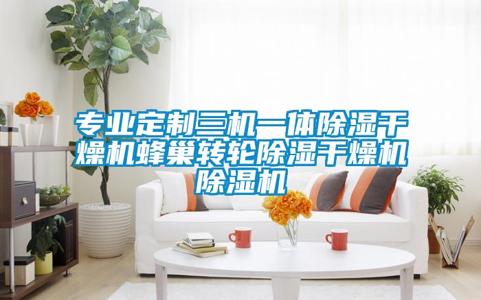 专业定制三机一体除湿干燥机蜂巢转轮除湿干燥机精品一区二区三区水蜜桃