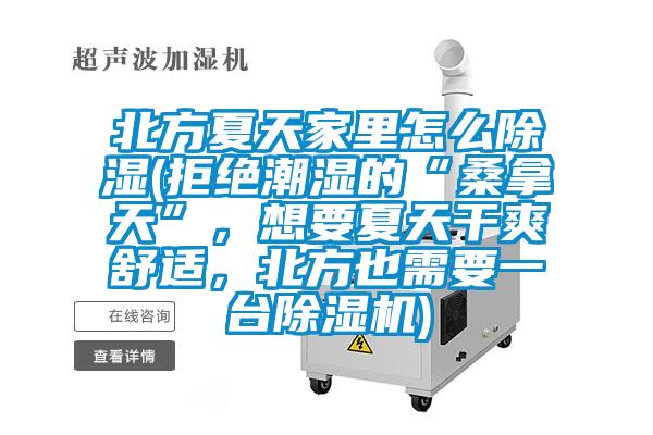 北方夏天家里怎么除湿(拒绝潮湿的“桑拿天”，想要夏天干爽舒适，北方也需要一台精品一区二区三区水蜜桃)