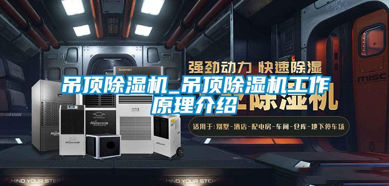 吊顶精品一区二区三区水蜜桃_吊顶精品一区二区三区水蜜桃工作原理介绍