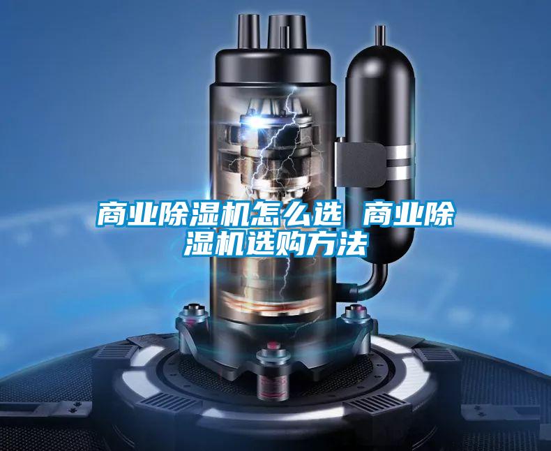 商业精品一区二区三区水蜜桃怎么选 商业精品一区二区三区水蜜桃选购方法