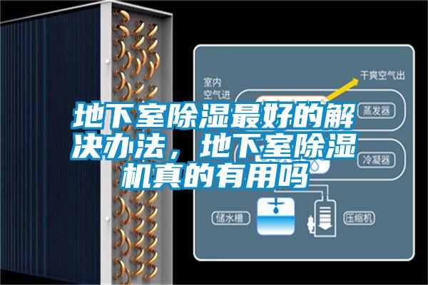 地下室除湿最好的解决办法，地下室精品一区二区三区水蜜桃真的有用吗