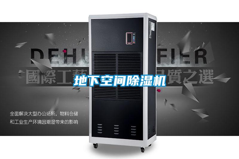 地下空间精品一区二区三区水蜜桃