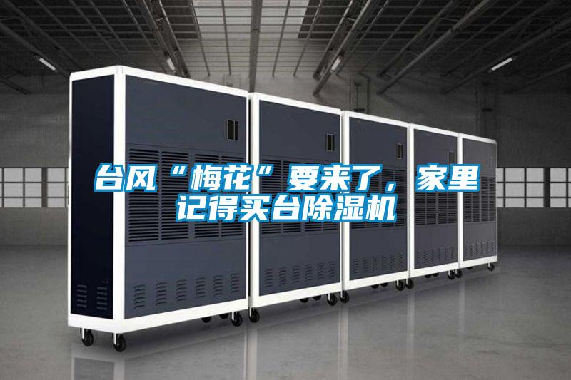 台风“梅花”要来了，家里记得买台精品一区二区三区水蜜桃