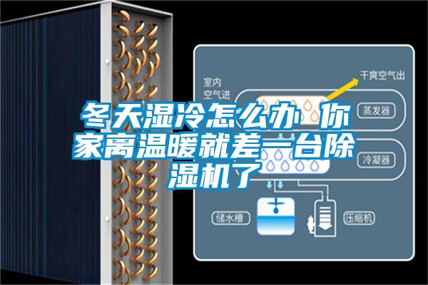 冬天湿冷怎么办 你家离温暖就差一台精品一区二区三区水蜜桃了