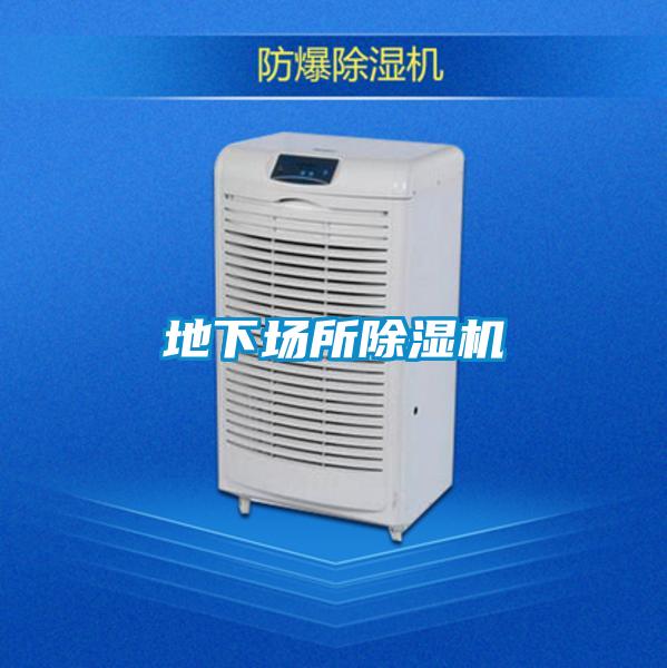 地下场所精品一区二区三区水蜜桃