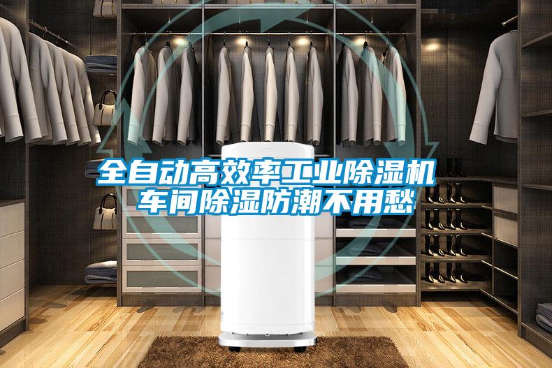 全自动高效率工业精品一区二区三区水蜜桃 车间除湿防潮不用愁