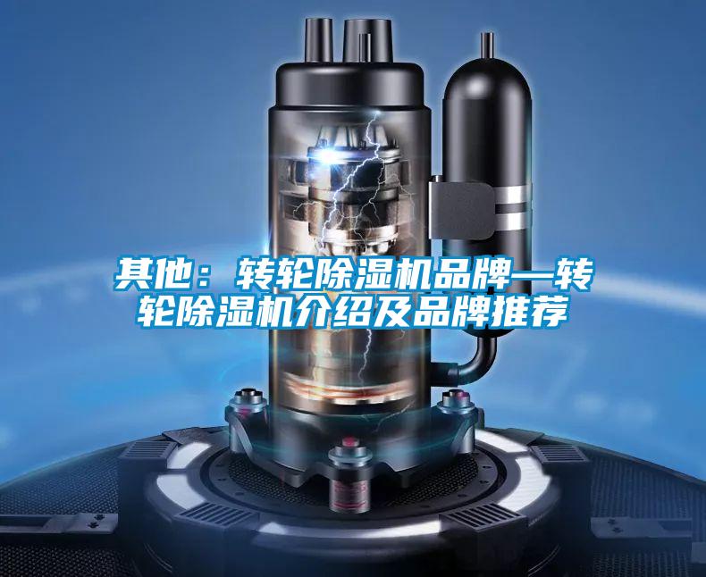 其他：转轮精品一区二区三区水蜜桃品牌—转轮精品一区二区三区水蜜桃介绍及品牌推荐