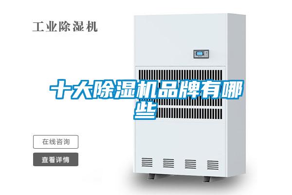 十大精品一区二区三区水蜜桃品牌有哪些