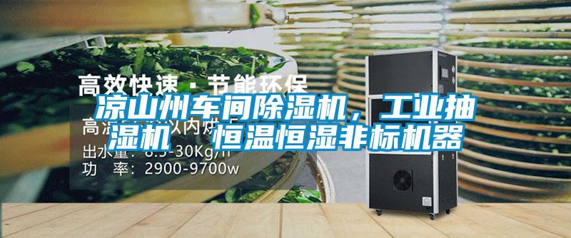 凉山州车间精品一区二区三区水蜜桃，工业抽湿机  恒温恒湿非标机器