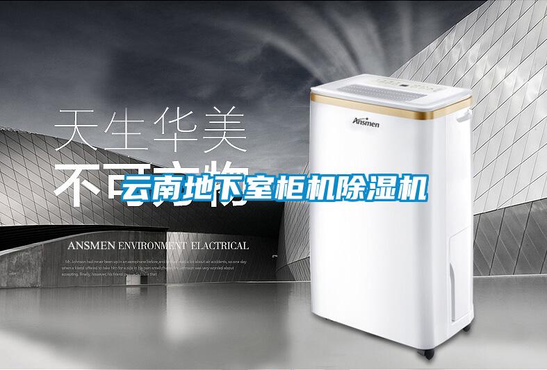 云南地下室柜机精品一区二区三区水蜜桃