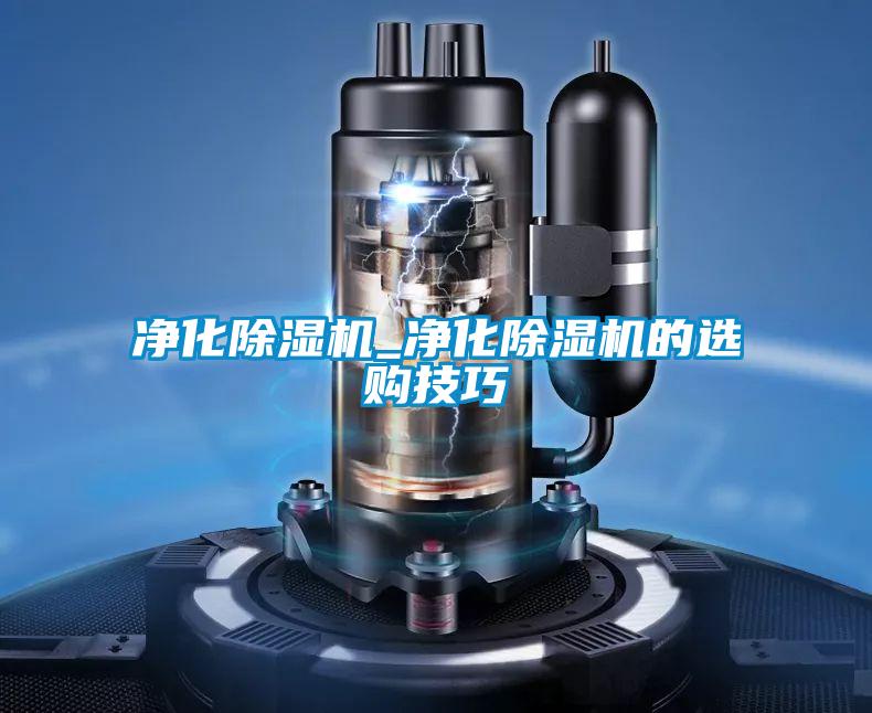 净化精品一区二区三区水蜜桃_净化精品一区二区三区水蜜桃的选购技巧