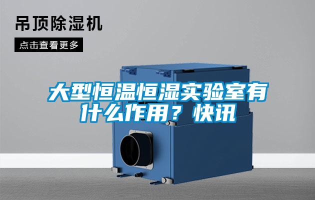 大型恒温恒湿实验室有什么作用？快讯