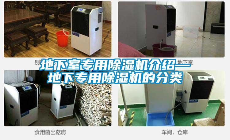 地下室专用精品一区二区三区水蜜桃介绍—地下专用精品一区二区三区水蜜桃的分类