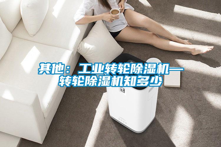 其他：工业转轮精品一区二区三区水蜜桃—转轮精品一区二区三区水蜜桃知多少