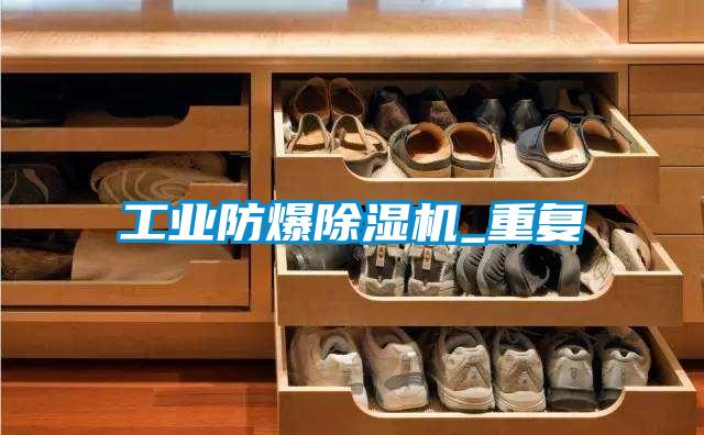 工业防爆精品一区二区三区水蜜桃_重复