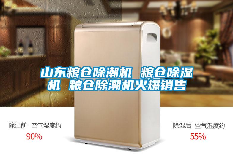 山东粮仓除潮机 粮仓精品一区二区三区水蜜桃 粮仓除潮机火爆销售