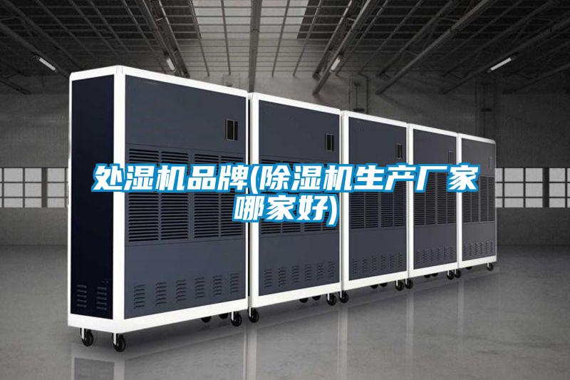 处湿机品牌(精品一区二区三区水蜜桃生产厂家哪家好)