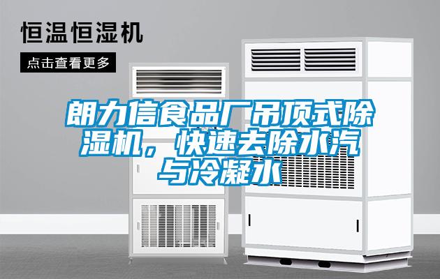 朗力信食品厂吊顶式精品一区二区三区水蜜桃，快速去除水汽与冷凝水