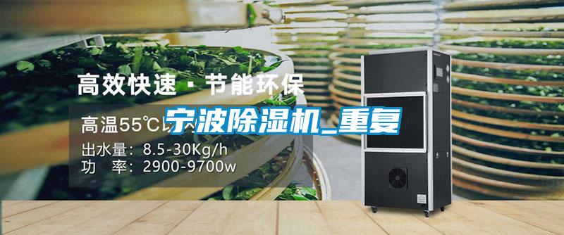 宁波精品一区二区三区水蜜桃_重复