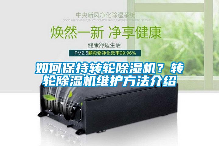 如何保持转轮精品一区二区三区水蜜桃？转轮精品一区二区三区水蜜桃维护方法介绍