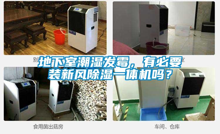 地下室潮湿发霉，有必要装新风除湿一体机吗？