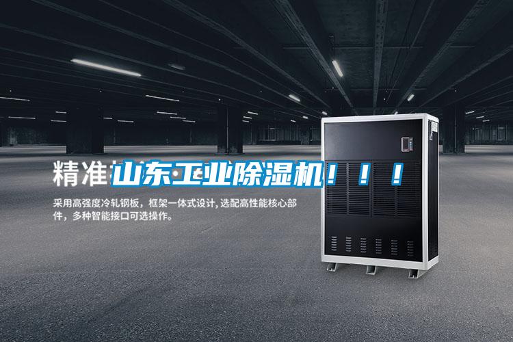 山东工业精品一区二区三区水蜜桃！！！