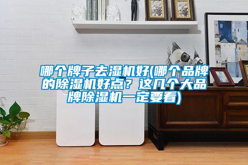 哪个牌子去湿机好(哪个品牌的精品一区二区三区水蜜桃好点？这几个大品牌精品一区二区三区水蜜桃一定要看)