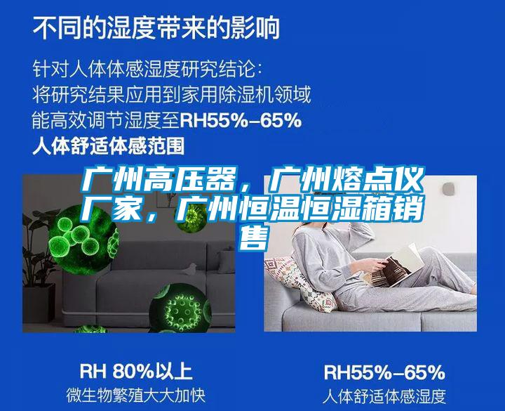 广州高压器，广州熔点仪厂家，广州恒温恒湿箱销售