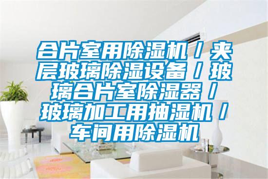 合片室用精品一区二区三区水蜜桃/夹层玻璃除湿设备/玻璃合片室除湿器/玻璃加工用抽湿机/车间用精品一区二区三区水蜜桃