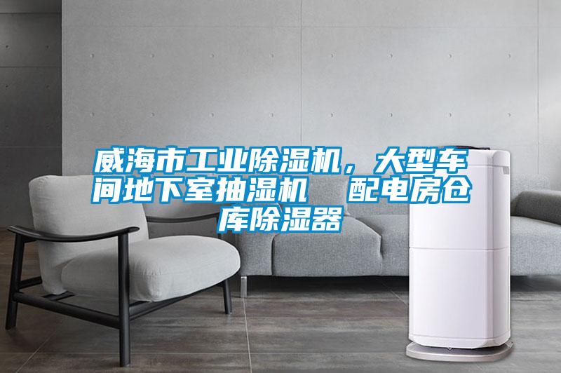 威海市工业精品一区二区三区水蜜桃，大型车间地下室抽湿机  配电房仓库除湿器