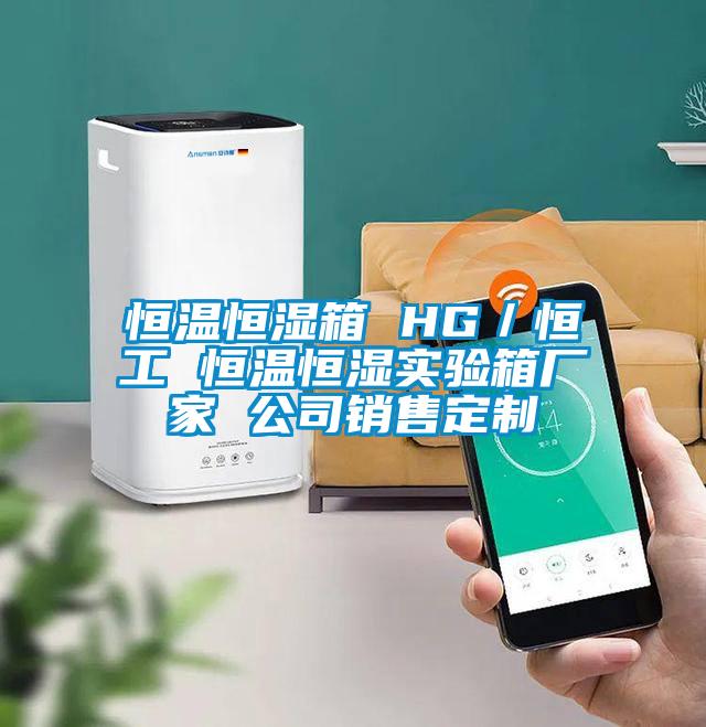 恒温恒湿箱 HG/恒工 恒温恒湿实验箱厂家 公司销售定制
