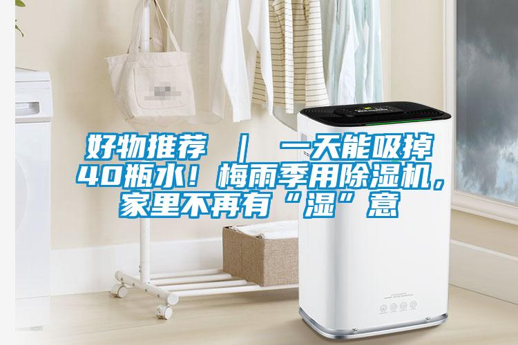 好物推荐 ｜ 一天能吸掉40瓶水！梅雨季用精品一区二区三区水蜜桃，家里不再有“湿”意