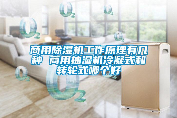 商用精品一区二区三区水蜜桃工作原理有几种 商用抽湿机冷凝式和转轮式哪个好