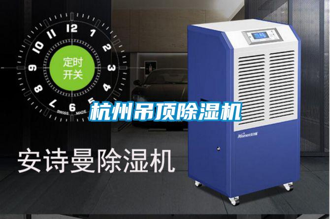 杭州吊顶精品一区二区三区水蜜桃