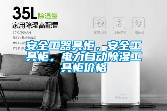 安全工器具柜，安全工具柜，电力自动除湿工具柜价格