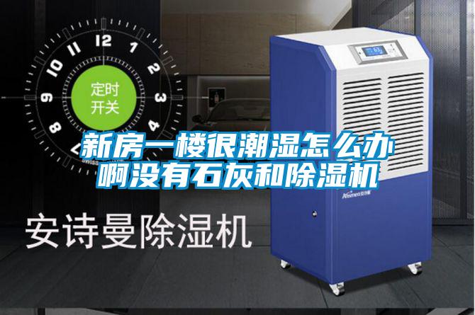 新房一楼很潮湿怎么办啊没有石灰和精品一区二区三区水蜜桃