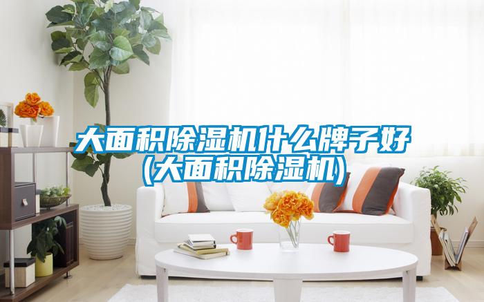 大面积精品一区二区三区水蜜桃什么牌子好(大面积精品一区二区三区水蜜桃)