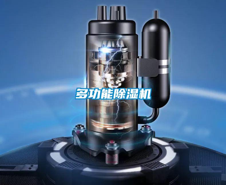 多功能精品一区二区三区水蜜桃