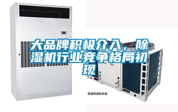 大品牌积极介入，精品一区二区三区水蜜桃行业竞争格局初现