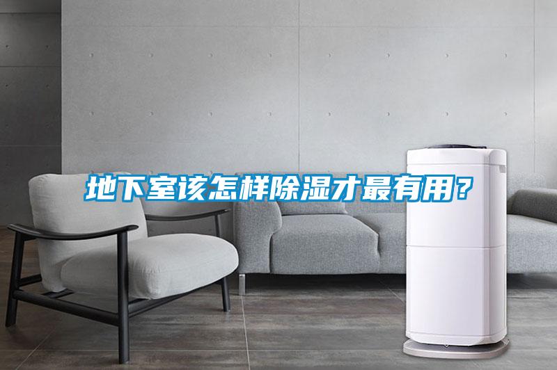 地下室该怎样除湿才最有用？